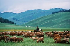 游新疆开传祺影速